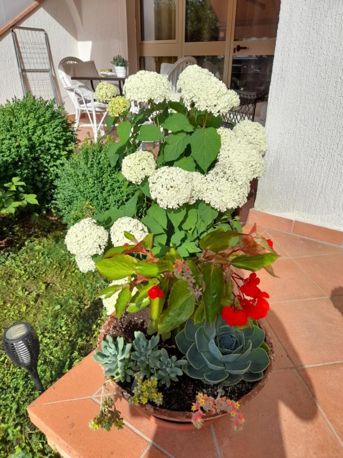 Appartman Iva Apartma Porec