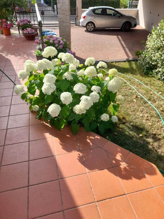 Appartman Iva Apartma *